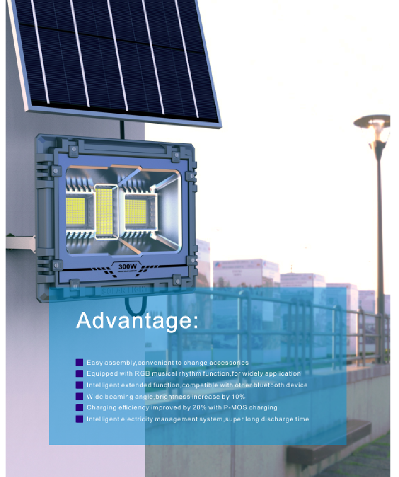 LED Floodlight